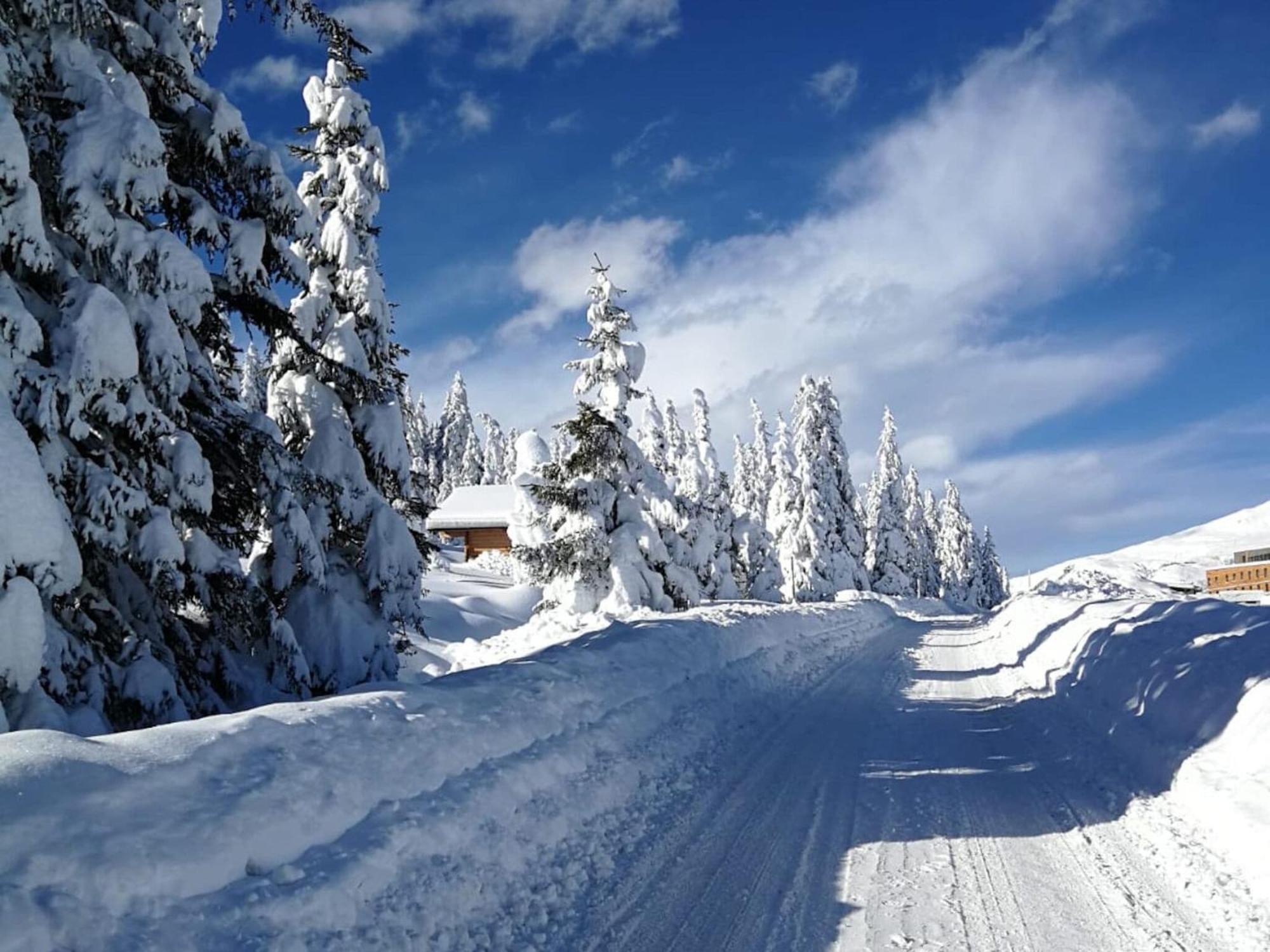 Flat South Of Kitzb Hel With Nationalparkcard Lejlighed Hollersbach im Pinzgau Eksteriør billede